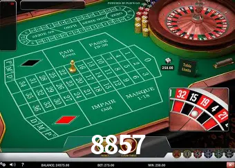 VIP Casino 8857